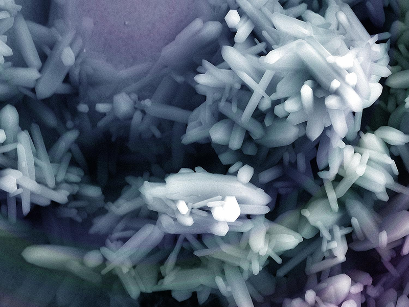 Illustration for article titled 27 Amazing Images From the Depths of Scientific Labs